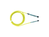 All-Digital Servo Module