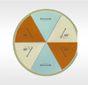 AHWP25-VIS-A-6P-M six 60 degree fast-axis segments